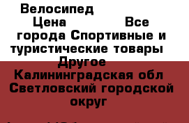 Велосипед Viva Castle › Цена ­ 14 000 - Все города Спортивные и туристические товары » Другое   . Калининградская обл.,Светловский городской округ 
